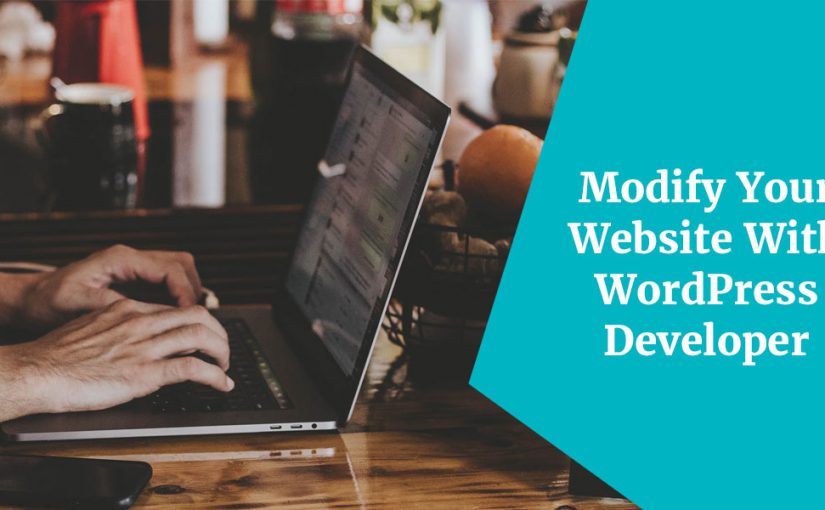 Modify Your Website With WordPress Developer