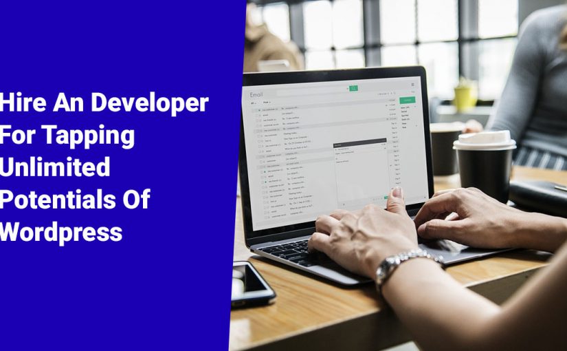 Hire A Developer For Tapping Unlimited Potentials Of WordPress