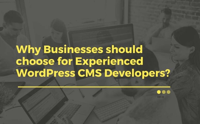 Why Businesses should choose for Experienced WordPress CMS Developers?