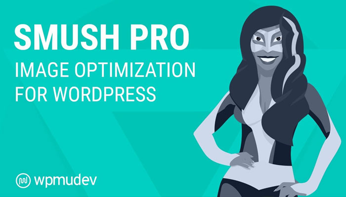 Smush WordPress Plugins 2021